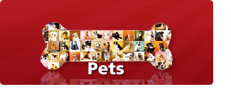 Pets