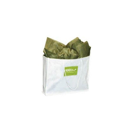 PBG341  Non-Woven Bag White